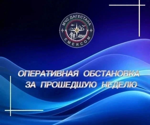 За прошедшую неделю:. Спасательные формирования ГКУ РД «Центр ГО и ЧС» МЧС Дагестана на проведедние аварийно -спасательных работ привлекались 12 раз, в том числе: Бытовые -1, ДТП- 2;