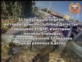 31 ДТП зарегистрировано в Дагестане на прошедшей неделе