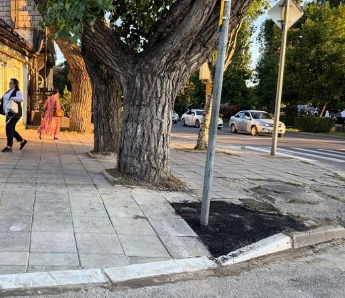 � ��������� ��������� ���������� ����������������� ��������