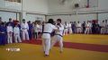 � ������ ������������ �������������� ��� ��������������, �� 2 �� 8 �������, � �������� �������� ���������-�������� �����������, �������������� �������������� ������