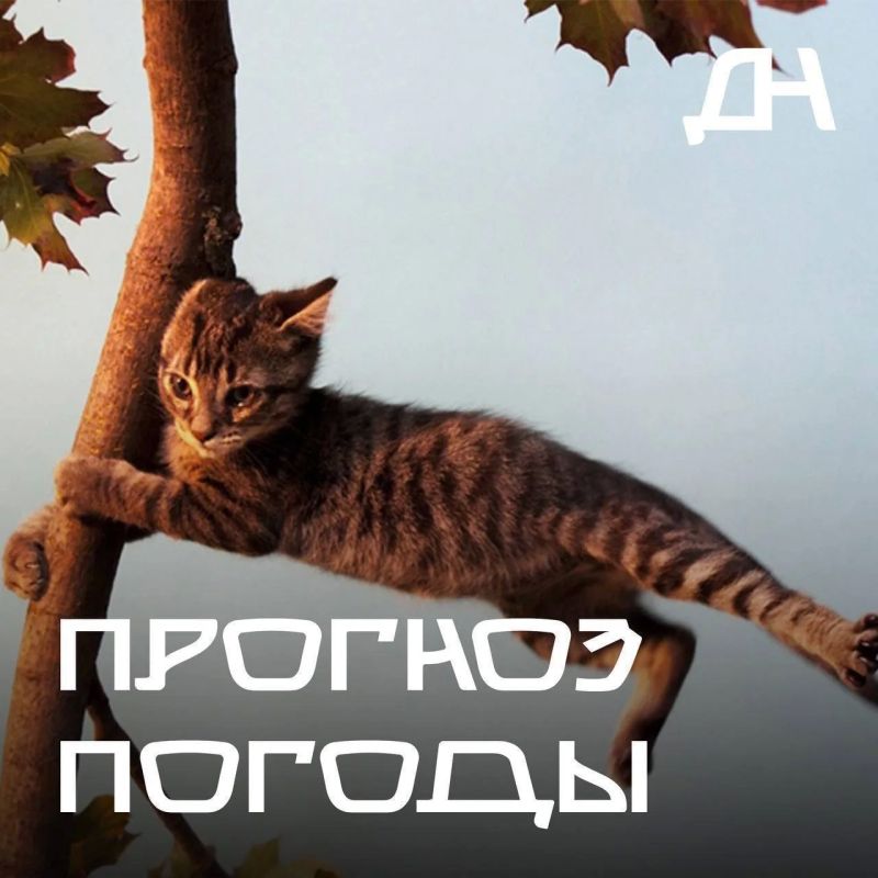 С 18:00 10 августа по 18:00 11 августа на территории Республики Дагестан сохраняется комплекс метеорологических явлений (сильные дожди, ливни в сочетании с грозой, градом и усилением ветра 20-23 м/с)