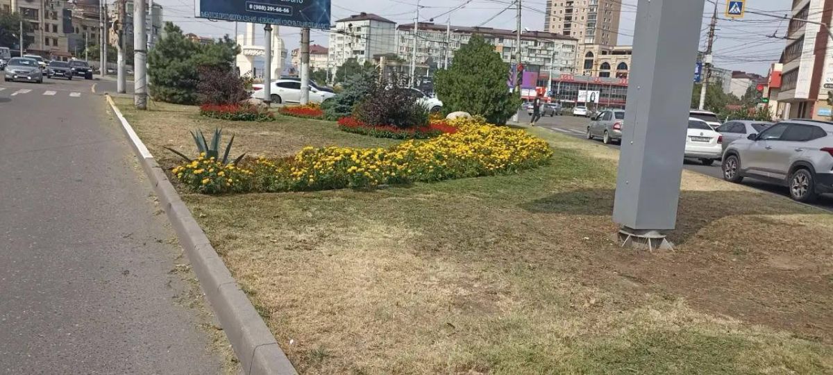 Специалистами МБУ «Благоустройство» проведены работы по кошению травы на территории троллейбусного кольца Специалистами МБУ «Благоустройство» проведены работы по кошению травы на территории троллейбусного кольца