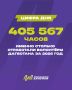 Камил Саидов: «Было проведено 2 068 волонтёрских мероприятий и отработано 405 567 часов за 2026 год»