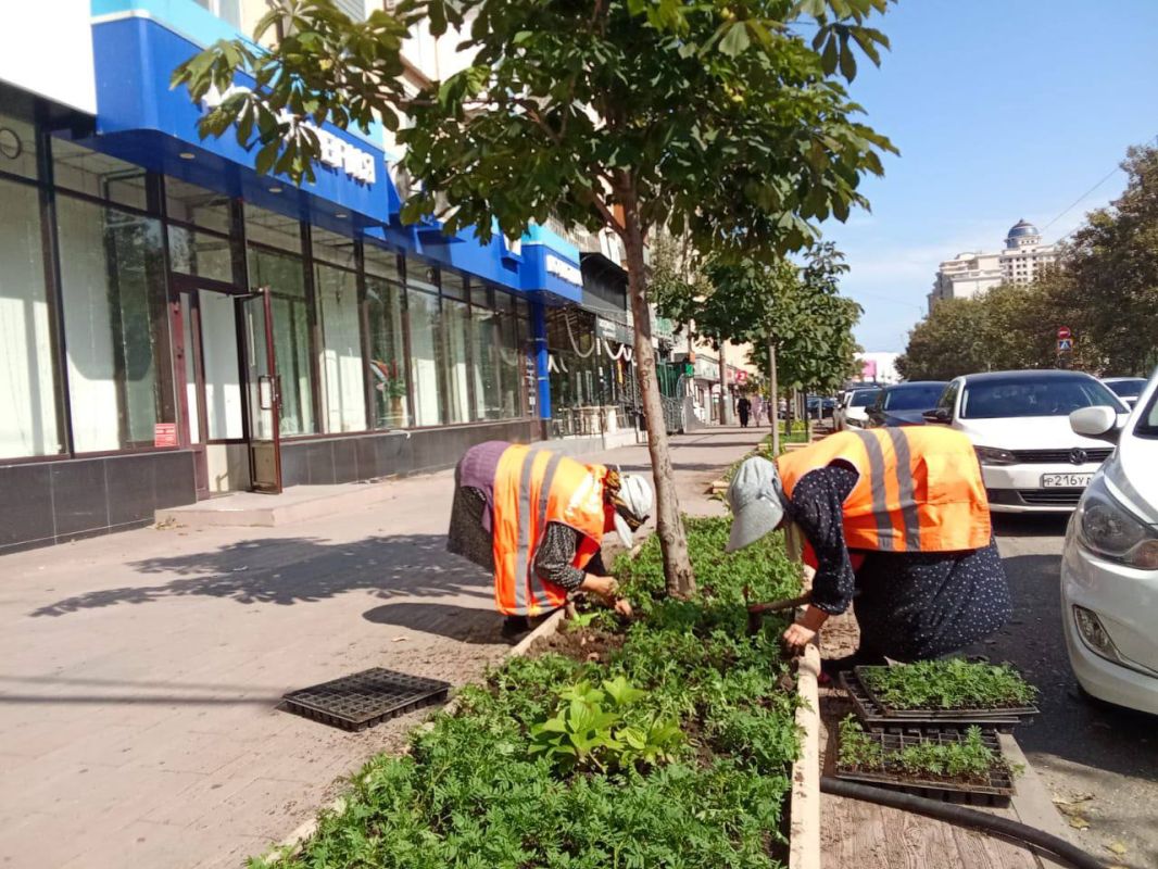 Посадка цветов на проспекте Расула Гамзатова Посадка цветов на проспекте Расула Гамзатова