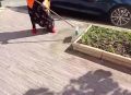 ������� ������ �� ��������� ������ ���������