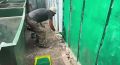 ������ �������� ��������� ����� �������� �����������, ��� ���������������� �� ���������� ������ �������� ������ � �������� ��������������� �����