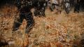 Контрактная служба в Вооруженных силах РФ: единовременная выплата при заключении контракта - 4,1 млн рублей