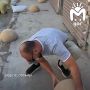 ���� �� ���������, ������� �� ��������� � ����� ���������� ����������� �������� � ������ ��������