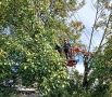 «Дагэнерго» расчистило охранную зону ЛЭП в Ахтынском районе
