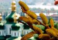 Возвращение к истокам: старорусская кухня в преддверии Пасхи