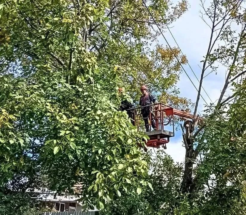 «Дагэнерго» расчистило охранную зону ЛЭП в Ахтынском районе