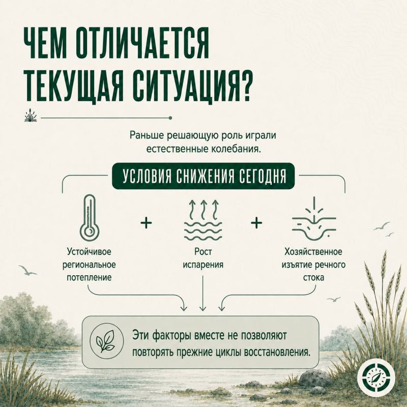 Что происходит с Каспием и почему это важно для его обитателей Что происходит с Каспием и почему это важно для его обитателей