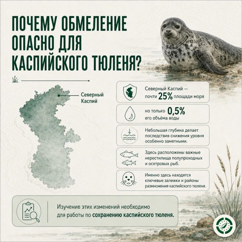 Что происходит с Каспием и почему это важно для его обитателей Что происходит с Каспием и почему это важно для его обитателей