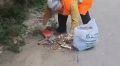 МБУ «Благоустройство» продолжают наводить порядок и благоустраивать городские территории
