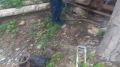 � ��������� ��������� ������ �� ������� ������� �������� ���������� ����