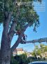 ������������ ��� ���������������� ��������� ������ �� ����� ����� ����� � ��������� �������� �� ��������� ������� � �. ���������: