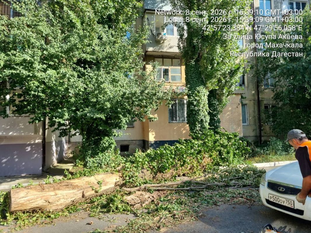 Сотрудниками МБУ «Благоустройство» проведены работы по обрезке деревьев по следующим адресам в г. Махачкала: Сотрудниками МБУ «Благоустройство» проведены работы по обрезке деревьев по следующим адресам в г. Махачкала: