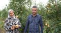 В Хасавюртовском районе семейное предприятие развивает садоводство на площади 115 гектаров