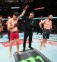 �� ������� UFC Fight Night 288, ��������� � ��������� - �������, ���, �������� ��������� ������ ������� �������� ������������� ���� ������� �����������