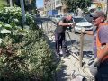 ������� ��� ����Ļ ����������� ������������ ���������� �������������� �� ���������� ������ ������