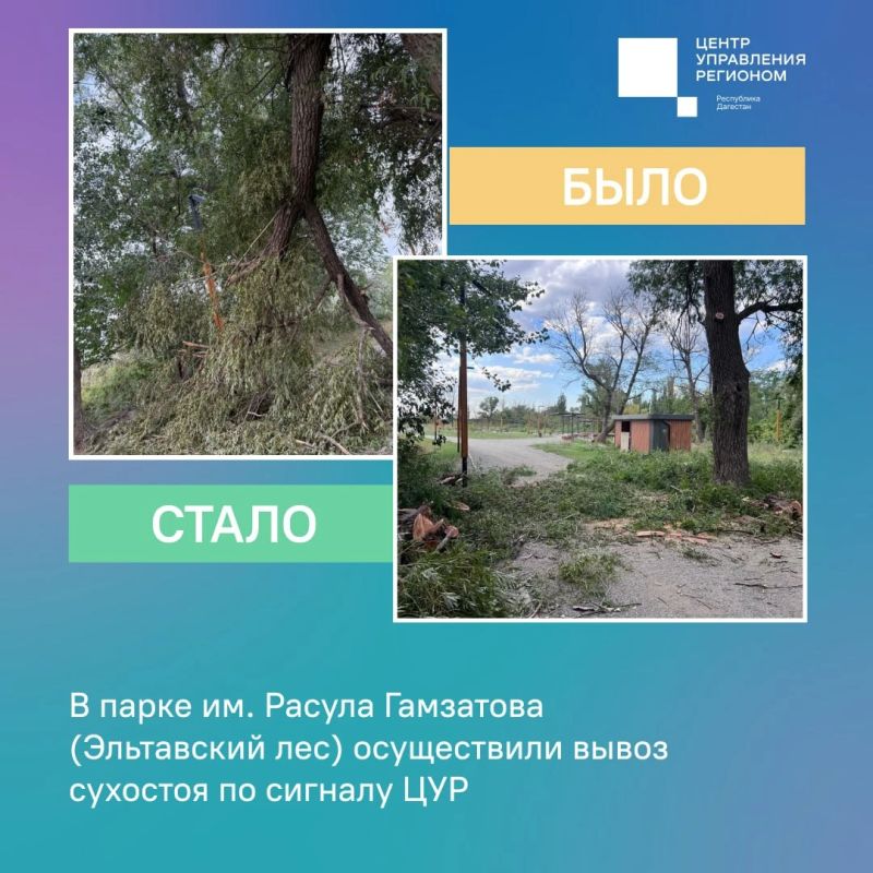 Делимся результатами работы с обращениями в ЦУР Делимся результатами работы с обращениями в ЦУР