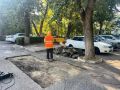 ������� ����������� ������ ����������� ��������� �������� ������� ������ �� ���������� � ��������������� ����