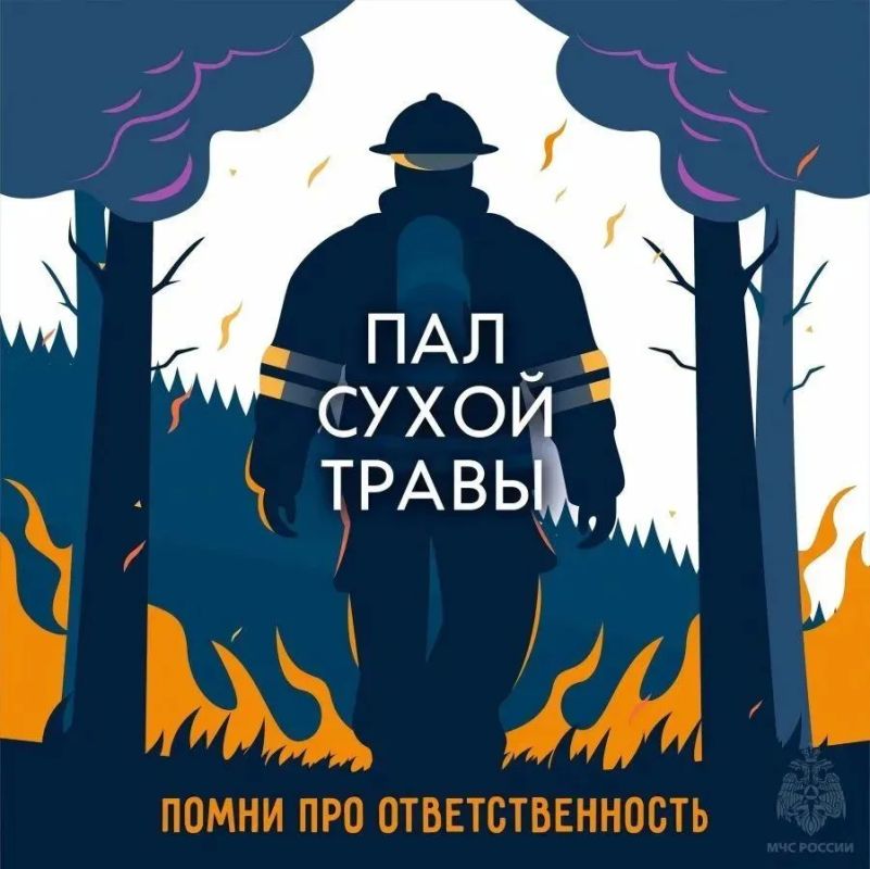 Пал травы – маленькая искра большой проблемы Пал травы – маленькая искра большой проблемы