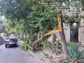 Бригада МБУ "Благоустройство" успешно завершила работы по спилу и обрезке деревьев на территории города Махачкалы