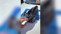 ����� 22 ������ ���������. � ��������� � ������� ����� ����� 22 ������� ���������