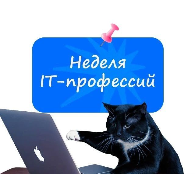 Учитесь в 6-11 классах и не уверены, стоит ли становиться IT-специалистом? Фонд Гуманитарных Проектов совместно с ВК помогут сделать выбор!