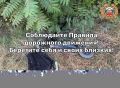 С 14 по 20 сентября 2026 года на территории Республики Дагестан зарегистрировано 29 ДТП, в которых погибли 10 человек, в том числе 1 ребенок, и получили ранения различной степени тяжести 33 человека, среди которых 5 детей