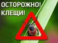 Управление по делам ГО и ЧС г. Каспийска предупреждает: сентябрь и октябрь — второй пик активности клещей!