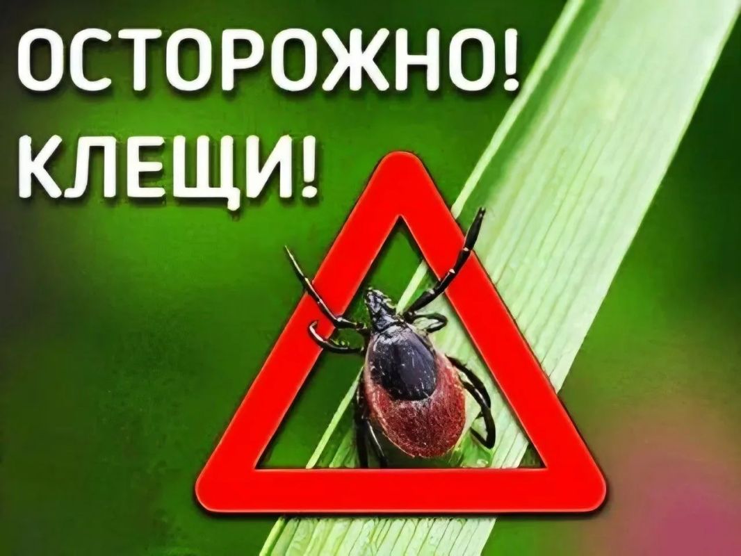 Управление по делам ГО и ЧС г. Каспийска предупреждает: сентябрь и октябрь — второй пик активности клещей!