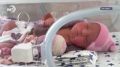 Впервые за 10 лет в Хасавюрте родилась тройня