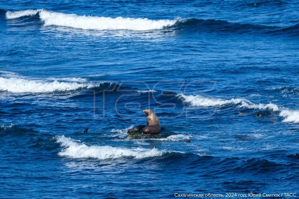 24 сентября — Всемирный день моря 24 сентября — Всемирный день моря