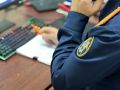 В Каспийске завершено расследование уголовного дела о халатности при организации работы по отлову безнадзорных животных