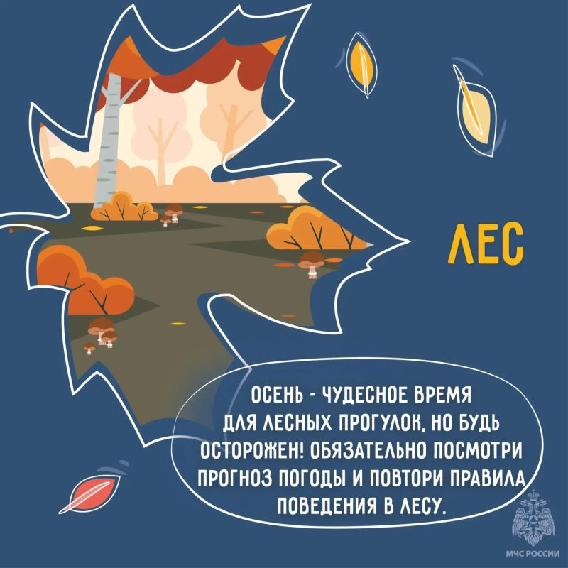 Встречаем осень безопасно Встречаем осень безопасно