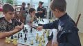 Спорт — это не только физическая нагрузка, но и тренировка ума