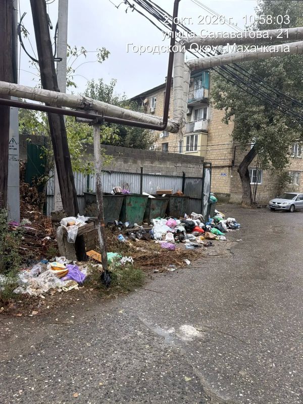 По поручению врио министра природных ресурсов и экологии Дагестана Ратмира Расулова специалисты Управления государственного экологического надзора на постоянной основе мониторят санитарное состояние контейнерных площадок в... По поручению врио министра природных ресурсов и экологии Дагестана Ратмира Расулова специалисты Управления государственного экологического надзора на постоянной основе мониторят санитарное состояние контейнерных площадок в...