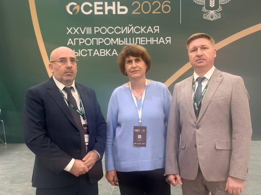 О ситуации с распространением мраморного клопа
