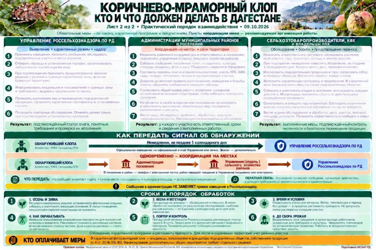 Министерство сельского хозяйства и продовольствия Республики Дагестан сообщает о выявлении очагов распространения коричнево-мраморного клопа в ряде южных районов республики Министерство сельского хозяйства и продовольствия Республики Дагестан сообщает о выявлении очагов распространения коричнево-мраморного клопа в ряде южных районов республики