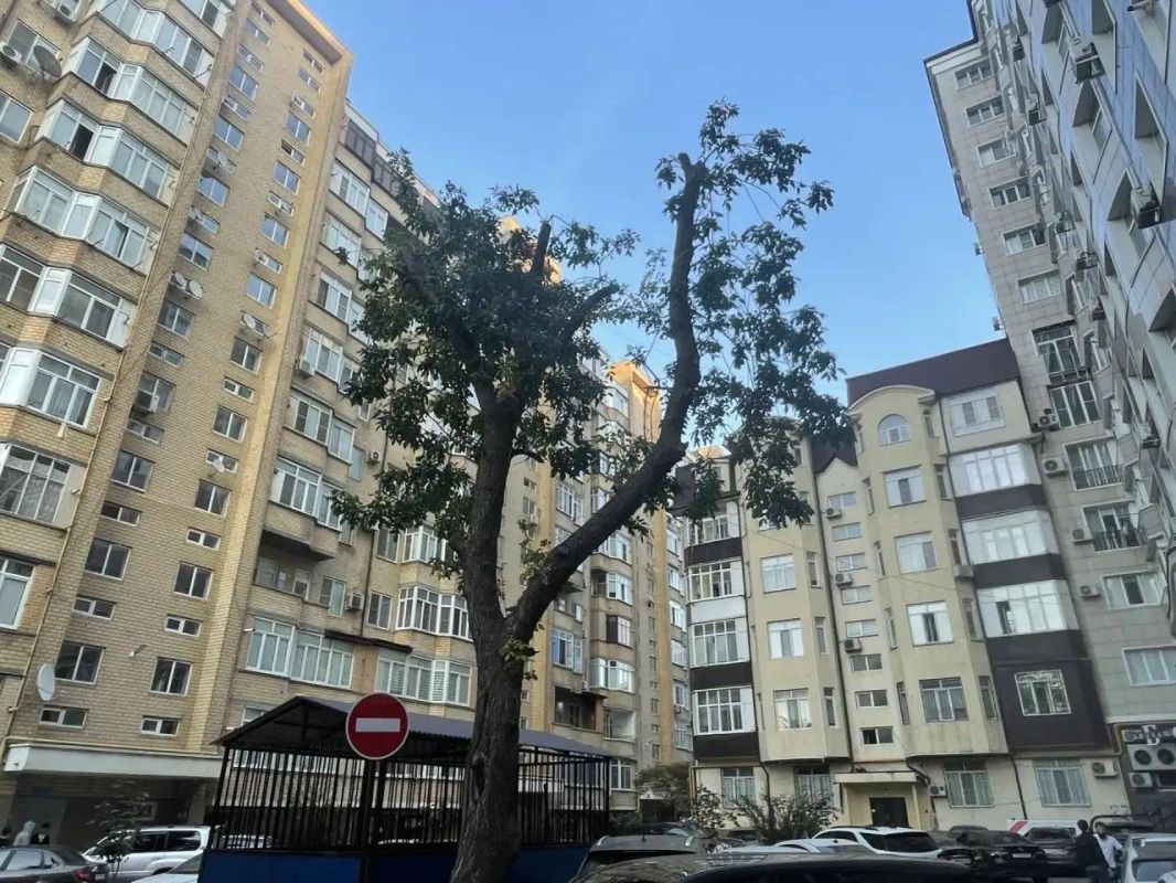 Сотрудниками МБУ «Благоустройство» г. Махачкалы выполнены работы по следующим адресам: Сотрудниками МБУ «Благоустройство» г. Махачкалы выполнены работы по следующим адресам: