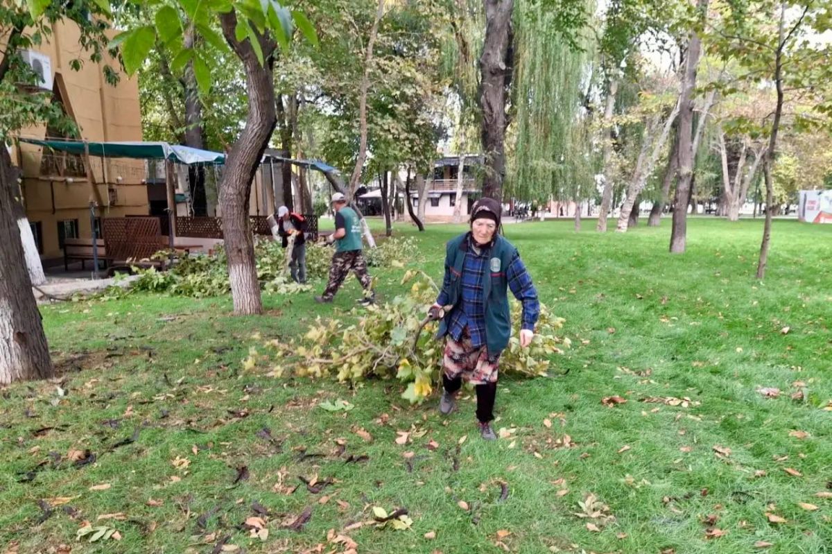 Заботимся о красоте парка им. С. Стальского Заботимся о красоте парка им. С. Стальского