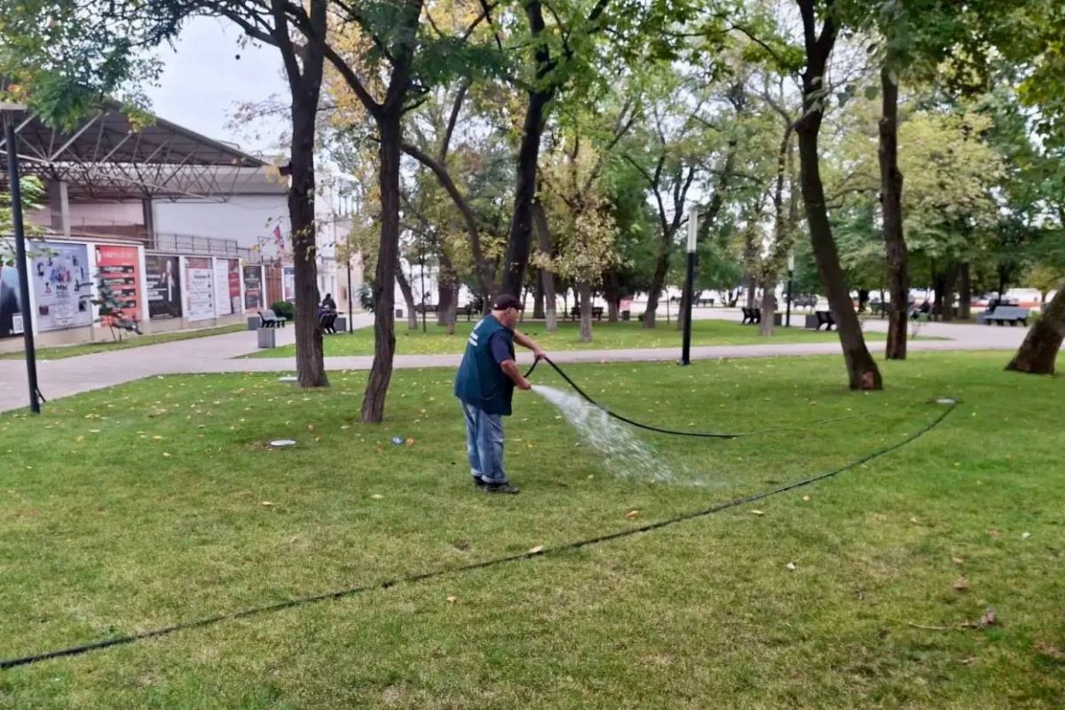 Заботимся о красоте парка им. С. Стальского Заботимся о красоте парка им. С. Стальского