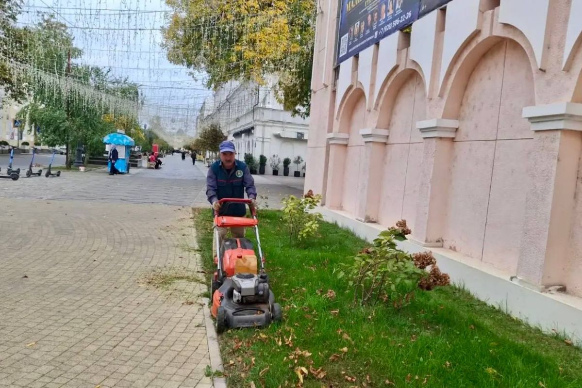 Заботимся о красоте парка им. С. Стальского Заботимся о красоте парка им. С. Стальского