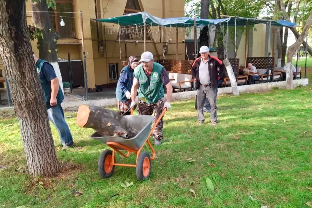Заботимся о красоте парка им. С. Стальского Заботимся о красоте парка им. С. Стальского