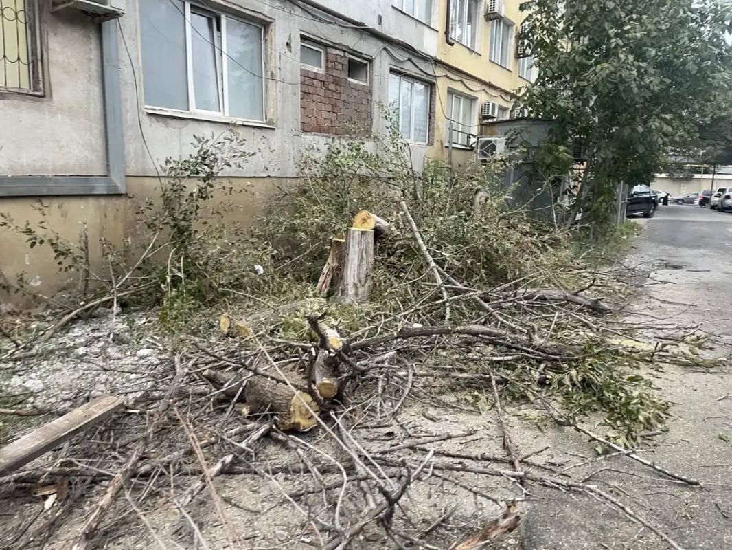 Сотрудниками МБУ «Благоустройство» г. Махачкалы проведены работы по спилу аварийных деревьев по следующим адресам: Сотрудниками МБУ «Благоустройство» г. Махачкалы проведены работы по спилу аварийных деревьев по следующим адресам: