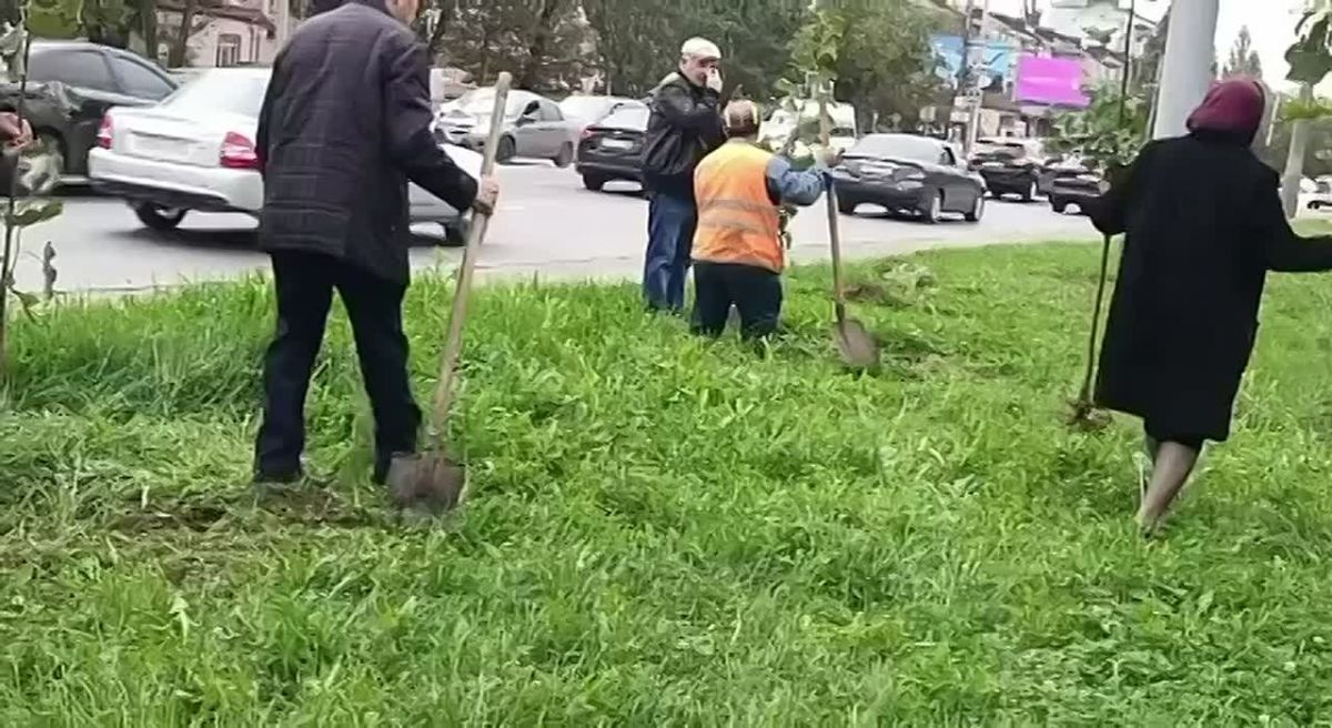 Сотрудниками МБУ «Благоустройство» г. Махачкалы проведены работы по подготовке и посадке деревьев на территории «Города мастеров»