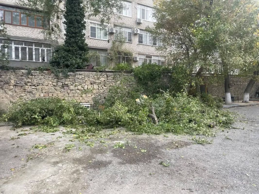 Сотрудниками МБУ «Благоустройство» г. Махачкалы завершены работы по спилу аварийных деревьев по адресу: ул. Крылова, 40 Сотрудниками МБУ «Благоустройство» г. Махачкалы завершены работы по спилу аварийных деревьев по адресу: ул. Крылова, 40