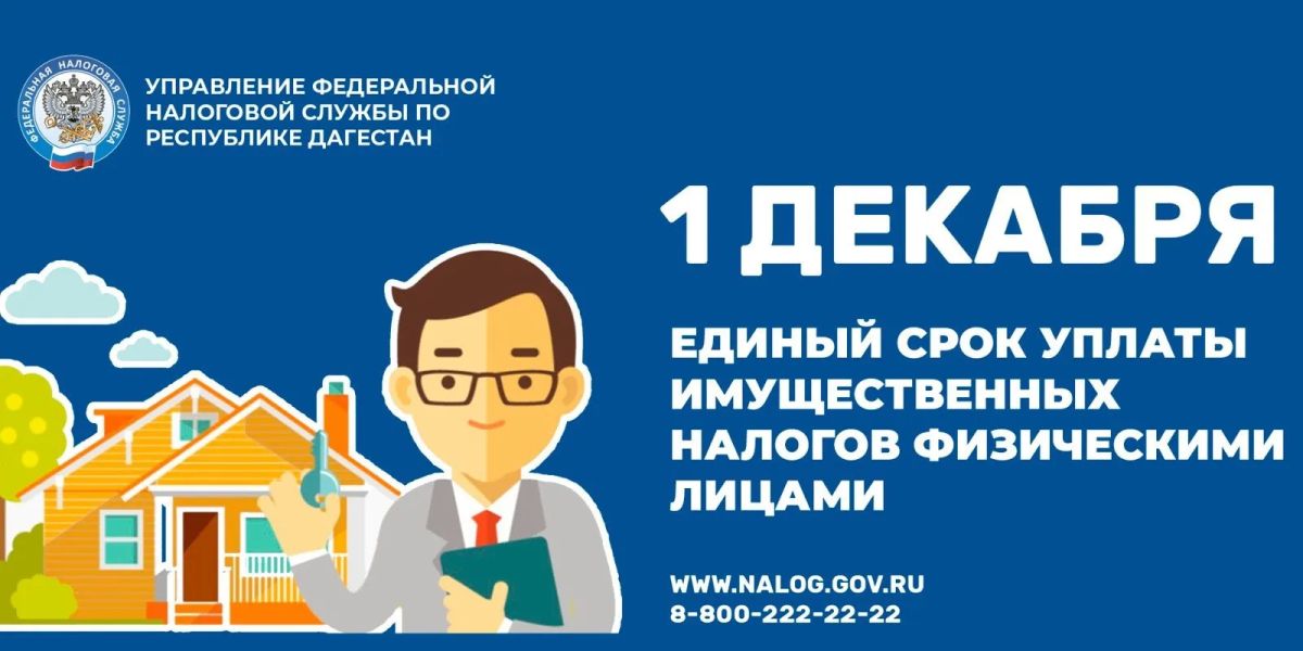 К 1 декабря россияне должны заплатить налог на имущество физлиц — его платят собственники квартир, домов, комнат, гаражей и машино-мест, а также земельный налог, который платят владельцы участков: дачных, садовых и под...